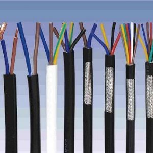 ������|����|���N��е�һ�N��ʲô�ǿ�����|��